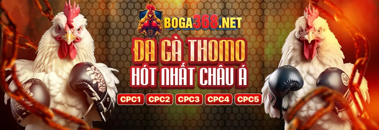 Sân đấu đá gà trực tuyến Nowgoal đăng nhập